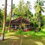 Munnar Alleppey Tour, Kerala 3N/4D